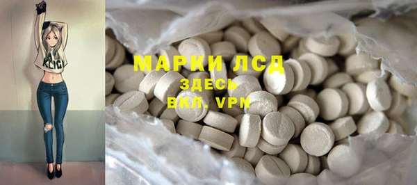амф Аркадак