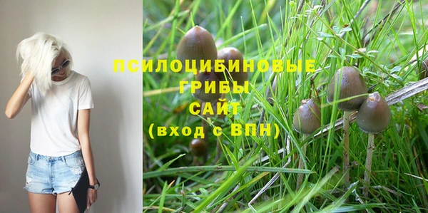 амф Аркадак