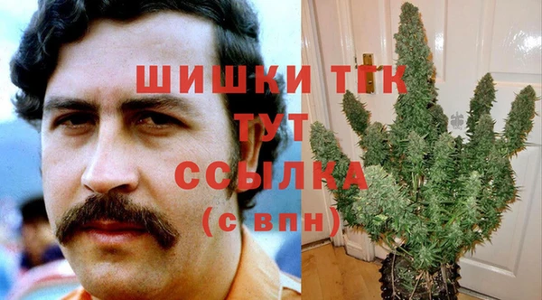 амф Аркадак