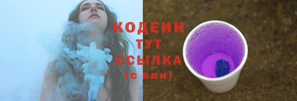 амф Аркадак