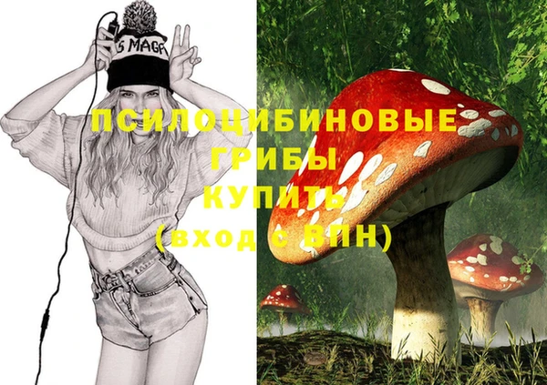 амф Аркадак