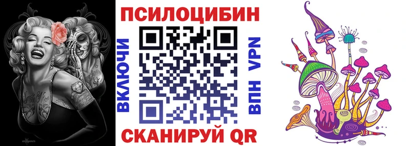 Галлюциногенные грибы Psilocybine cubensis Киров