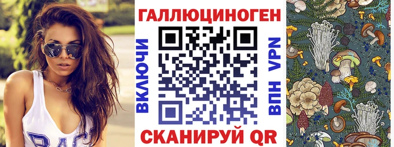 Псилоцибиновые грибы Magic Shrooms  блэк спрут ссылки  Киров  где купить  